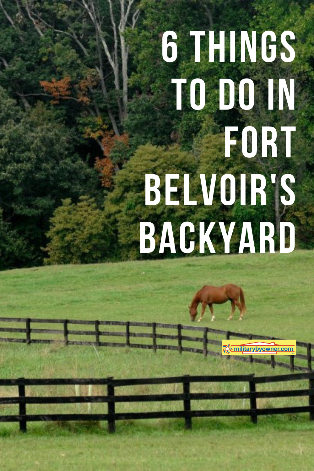 6 Things to Do In Fort Belvoir's Backyard